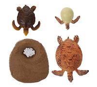 SUPVOX Realistic Cycle Figurines Educational Animal Evolution for Early Learning Model to Stimulate Imagination and Understand Growth Stages for Boys