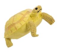 SUPVOX Realistic Plastic Four Toed Land Tortoise Model Cognitive Figurine for Educational Use Animal Themed Decor Photo Prop and Landscape Ornament