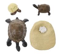 SUPVOX Realistic Tortoise Growth Cycle Model for Educational Simulation Figurines for Natural Science Learning Cognitive for Imagination Development