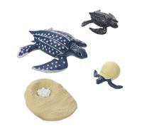 SUPVOX Realistic Turtle Growth Cycle Simulation Model Educational Figurines for Cognitive Playthings Preschool Life Science Teaching