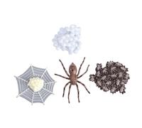 SUPVOX Simulation Animal Evolution Model for Lifelike Spider Life Cycle Educational Supplies Natural Science Learning Party Decoration Figurines for Preschool Boys