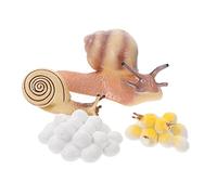 SUPVOX Snail Growth Cycle Model Educational Toys for Kids 1 Set Funny Snails Evolution Display Early Learning Supplies Montessori Learning