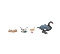 SUPVOX Swan Growth Cycle Educational Realistic Plastic Ocean Animal Figurines for Natural Science Learning Model Kit for Boys Preschool Exploration