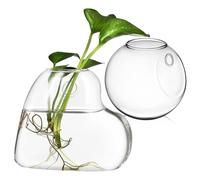 SUPVOX Wall-mounted High Borosilicate Glass Propagation Station Vase with Heart-shaped Holder and Crystal Mud, 10cm Semi-circle Planter for Indoor Plants and Succulent Propagation