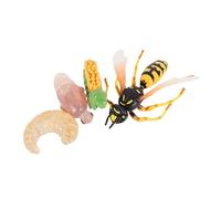 SUPVOX Wasp Growth Cycle Simulation Model Realistic Animal Evolution Educational for Cognitive Learning Classroom Display and Home Decoration