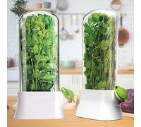 SUQ 2PCS Herb Saver for Refrigerator, 27 * 13 CM, Fresh Herb Keeper Herb Storage Container, Vegetable Storage Long Term Freshness Preservation, Keeps Cilantro Greens Fresh for 2-3 Weeks