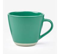 Sur La Table Colour Me Happy Green Mug