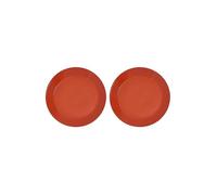 Sur La Table Colour Me Happy Set of 2 Orange Dinner Plates Orange