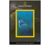 Sur Les Traces Des Requin