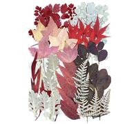 Surakey 50 Pcs Dried Pressed Leaves Flowers Real Natural Dried Leaves Plant Kit Assorted Dried Greenery for Bookmarks Scrapbooking Resin Art Candle Soap Making Autumn Colors, Style 8