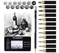 Surcotto Professional Sketching Pencils - 9 Pencils with 3 Charcoal, Eraser and Sharpener (2H-8B)