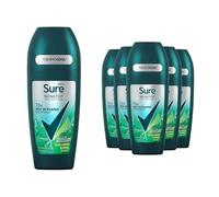 Sure Men Nonstop Protection Anti-Perspirant Roll-On Deo 50ml, 6 Pack - Iced Lemon & Sage Scent, 48H Sweat & Odour Protection, Long-Lasting Freshness, Mens Deodorant for Daily Use