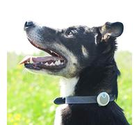 Sure Petcare Animo Activity Tracker and Behaviour Monitor, Subscription Free, Monitor Pet Activity, Sleep Quality, Barking, Scratching & Shaking, Lightweight and Waterproof, 6 Month Battery Life