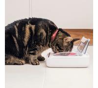 SureFeed Sealed Pet Bowl - White 1 Bowl