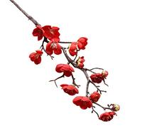 SUREH 5 Pcs Artificial Red Plum Blossom Long Stem Plastic Simulation Cherry Blossoms Branches Fake Flowers Silk Peach Flowersâ€‚Floral Wedding Bouquet Arrangements Home Decor