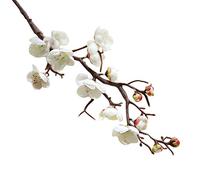 SUREH 5 Pcs Artificial White Plum Blossom Long Stem Plastic Simulation Cherry Blossoms Branches Fake Flowers Silk Peach Flowersâ€‚Floral Wedding Bouquet Arrangements Home Decor