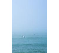 Surf Journal: Foggy Surfers Journal edition 3, A 6*9" Hardcover Notebook, 160 White Lined Pages, Personal Diary for Men, Women, They, Them, Theirs.
