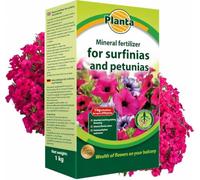 Surfinia & Petunia Mineral NPK Granular Fertiliser 1kg | Balanced NPK Formula, Up to 200 Plants, Gardens & Containers, April to September Use, Easy-Apply Granules