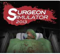 Surgeon Simulator 2013 Steam CD Key