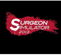 Surgeon Simulator Steam CD Key