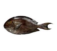Surgeonfish | Chirurgien 1kg | Fish and Seafood Seasoning Set Included