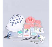 Surgical Simulation Training Device - Gynecological Biomimetic Pelvic Module for Pneumoperitoneum Laparoscopic Medical Training