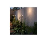 Suri Firefly Solar LED Stake Light In Green Finish