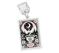 Suriel Tea Co. Charms for Kindle for Phone, Dust Plug Charm 1.5 Inches ACOTAR, Velaris, Night Court, Bookworm, Fantasy, Flowers Lightning/Type C Charging Port Acrylic Material Accessories for E-Reader