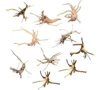 Surluoen Mini Driftwood for Aquarium Natural Wood Branches Fish Tank Decorations Tree Trunk Driftwood Assorted(10 Pack)