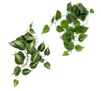 Surplex Pack of 2 Artificial Ivy in White Ceramic Pots Indoors Plastic Fake Greenery Potted Plants, Realistic House Plant for Office Table Desk Shelf Home Balcony Decor