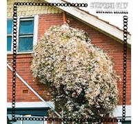 Surprise Chef - Daylight Savings (LP) [VINYL]