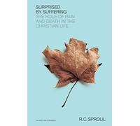 Surprised By Suffering