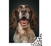 Surprised Springer Spaniel 1000-Piece Puzzle for Adults, 52x38cm/1000pcs, White Card with A Low-dust Finish; to Complete Gradually over A Weekend