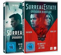 Surreal Estate - Spukhäuser in Bestlage (Gesamtedition) Alle 20 Folgen (Staffel 1+2) der populären Mystery Horror Geisterjäger Serie (OT: SurrealEstate) [4 DVDs] [DVD]