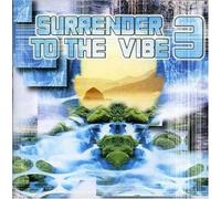 Surrender To The Vibe 3