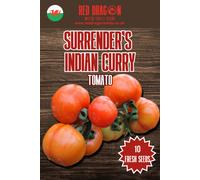 Surrender's Curry Tomato Seeds - 10 Fresh Seeds