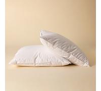 Surrey Down Duck Feather and Down Soft Continental Pillow