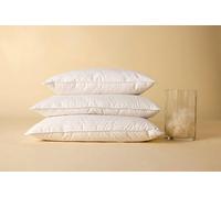 Surrey Down Duck Feather and Down Soft Pillow (2 Pack)