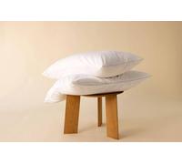 Surrey Down Duck Feather & Down Continental Pillow In White White