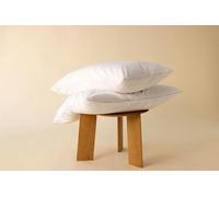Surrey Down Goose Feather and Down Firm Pillow