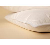 Surrey Down Goose Feather and Down Soft Pillow (2 Pack)