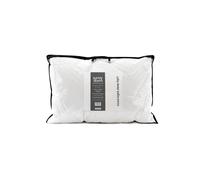 Surrey Down Goose Feather & Down Medium Firmness Pillow (2 Pack) In White White One Size