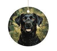 Surrounded by Green Splash Circle Double-Sided Ceramic Christmas Ornaments - Round Hanging Mini Xmas Tree Decorations, Ideas for Farmers, Rustic Home Decor for Indoor Outdoor Tree Decor