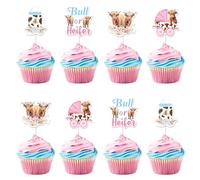 Sursurprise Highland Cow Gender Reveal Decorations, 24PCS Pink Blue Bull or Heifer Cupcake Toppers for Boy or Girl Holy Cow Highland Cattle Baby Shower Gender Reveal Party Supplies