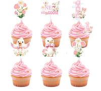 Sursurprise One Silly Goose Birthday Decor for Girl, 24PCS Pink One Silly Goose Cupcake Toppers for 1st Birthday Decorations, Farm Animal Party Supplies