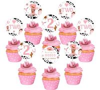Sursurprise Western Cowgirl 2nd Rodeo Theme Birthday Party Decorations, 24 Pieces This Ain’t My First Rodeo Cupcake Toppers for Girls Second Bday Party Supplies