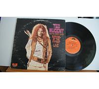 Survival Of The Fittest - Live