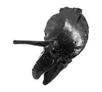 Survival Whistle - Halloween Real Loud Scream Prank Stuff,Outdoor Camping Scary Sound Whistle,for Adventure Backpacking Wild Field Party Events Haunted Houses Entertainment