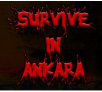 Survive in Ankara PC Steam CD Key