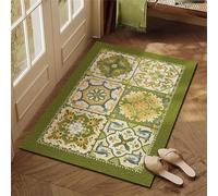 Surwin Non Slip Door Mat Indoor, European Vintage Style Front Door Mat PVC Loofah Doormat Anti Slip Rubber Backed Doormats Dirt Trapping Entrance Rug for Kitchen Garden (Fruit Green,45x75cm)